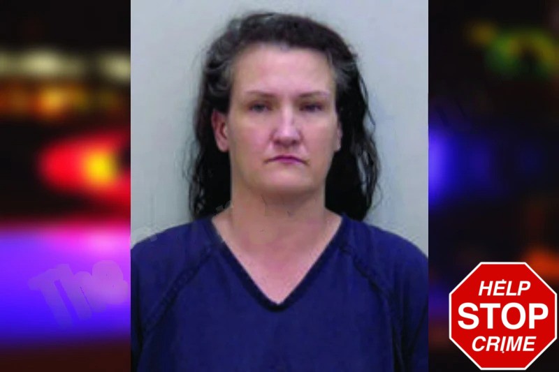 Katherine Finn mugshot – Bartow County , Georgia Katherine Finn mugshot
