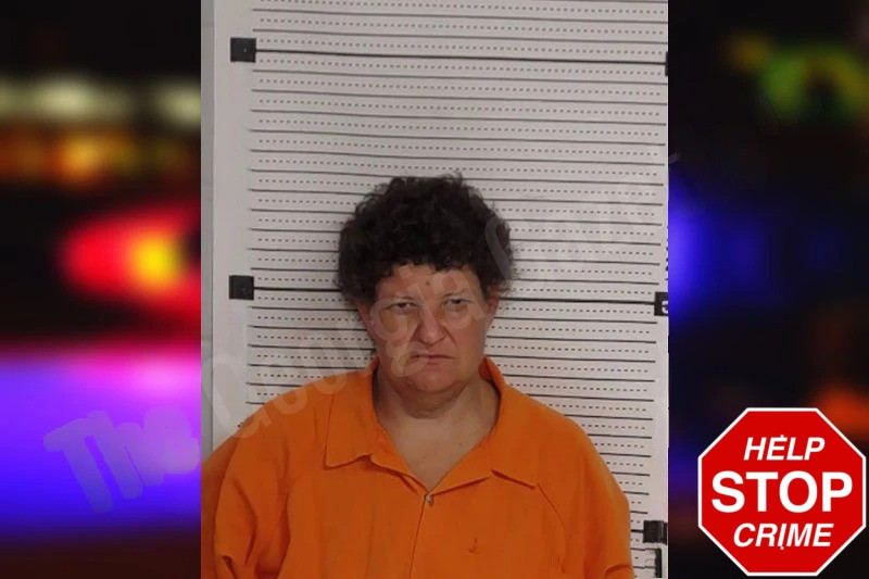 Katherine Hydrick mugshot – Rockdale County , Georgia Katherine Hydrick mugshot