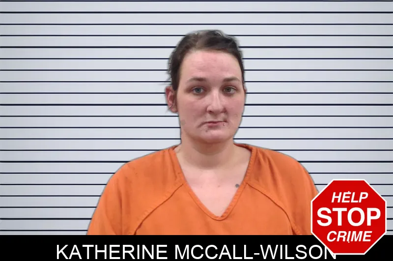 Katherine McCall-Wilson mugshot – Pickens County , Georgia Katherine McCall-Wilson mugshot