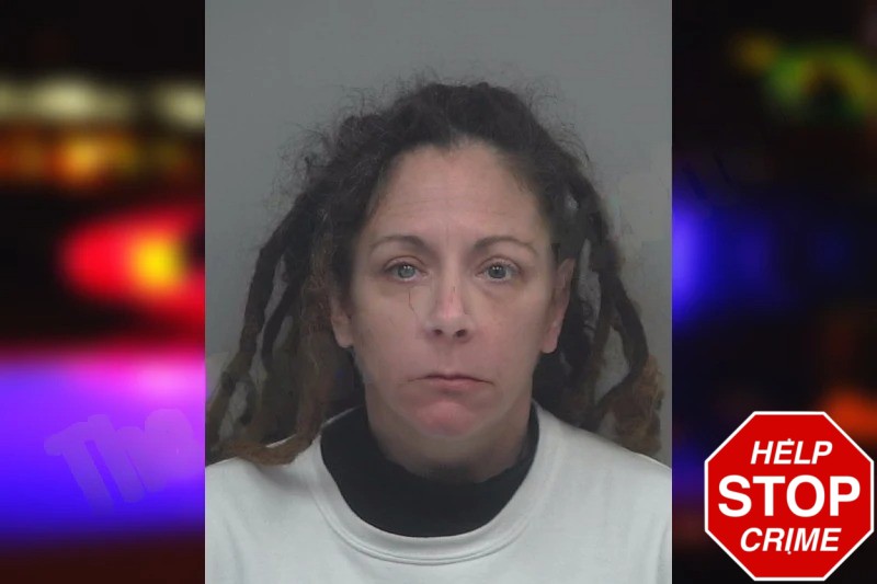 Katherine Puleo Mugshots