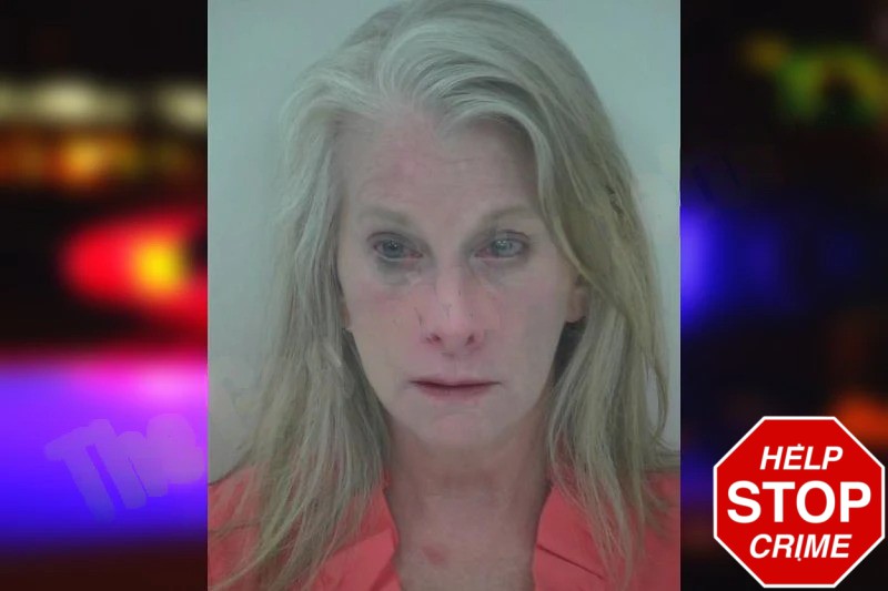 Katheryn Price mugshot