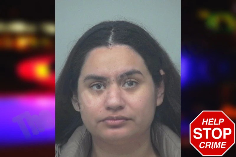 Kathy Escorza Hernandez Mugshots