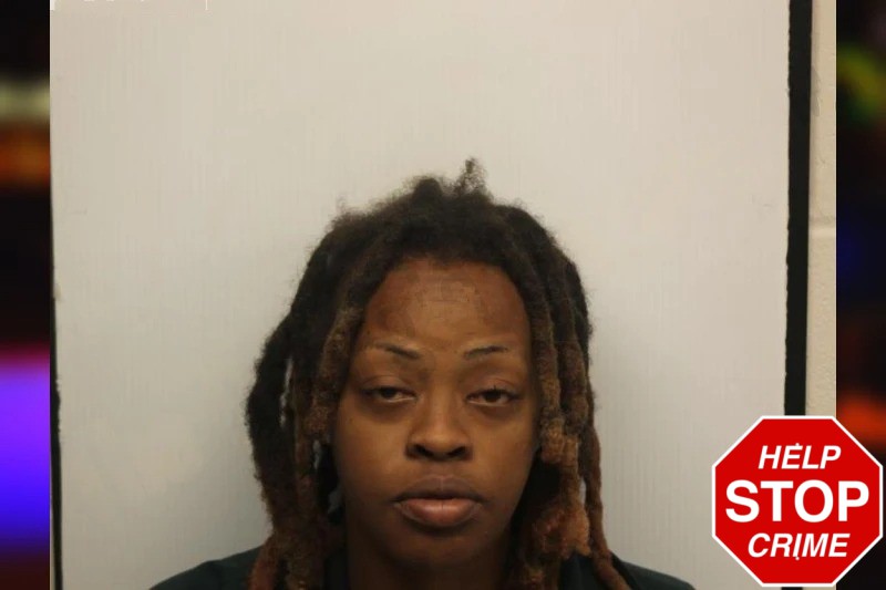 Katie Johnson Mugshots