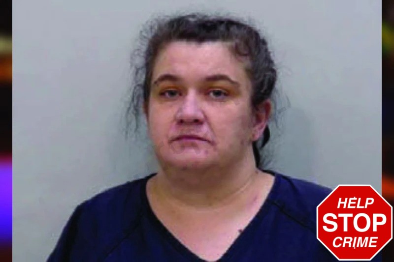 Katie McKinney Mugshots