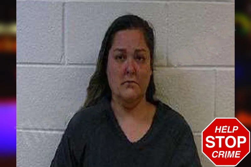 Katie Viggins mugshot – Polk County , Georgia Katie Viggins mugshot