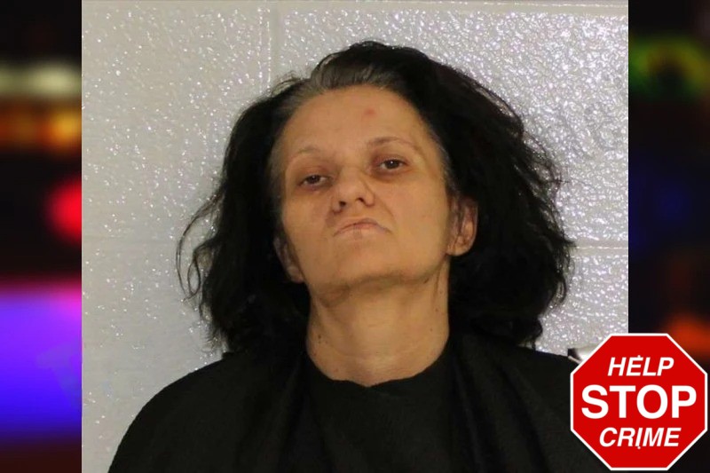 Katrina Holloway Mugshots