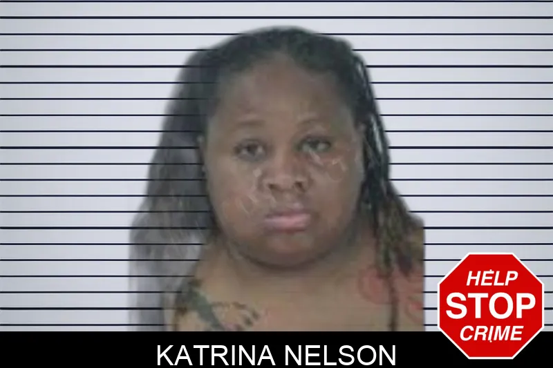 Katrina Nelson Mugshots