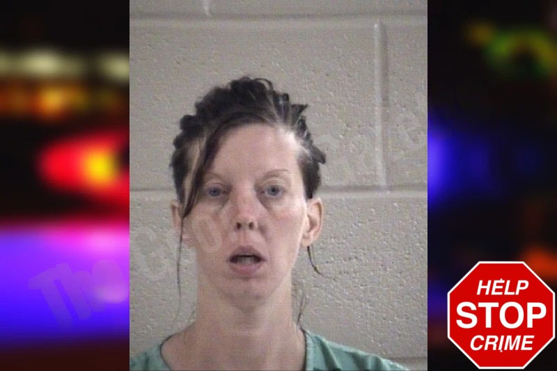 Kayla Bailey Mugshots