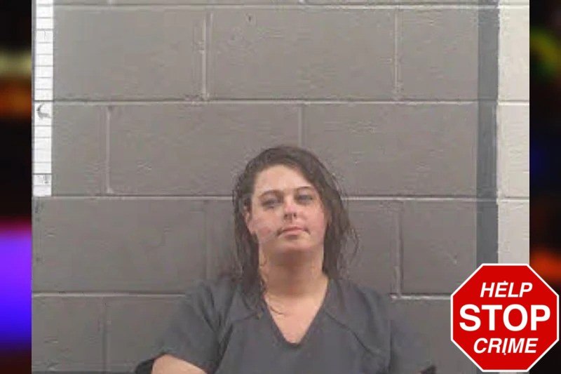 Kayla Castillo Mugshots