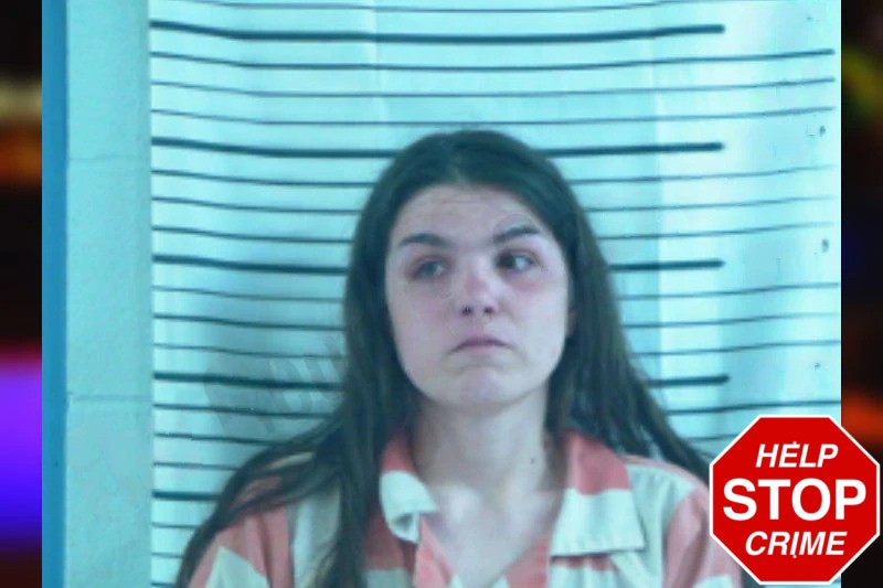 Kayla Goodson mugshot – Stephens County , Georgia Kayla Goodson mugshot