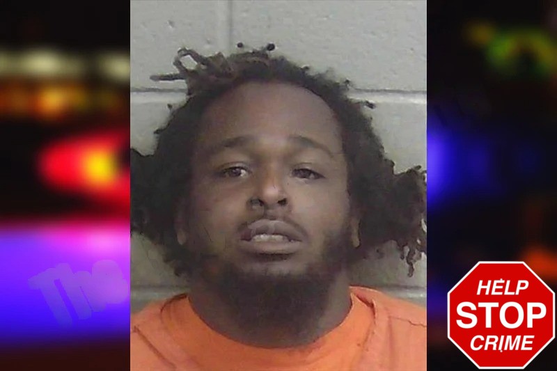 Kaylin Williams Mugshots