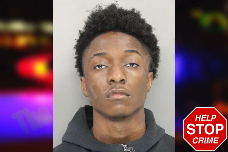 Kelechi Davis Mugshots