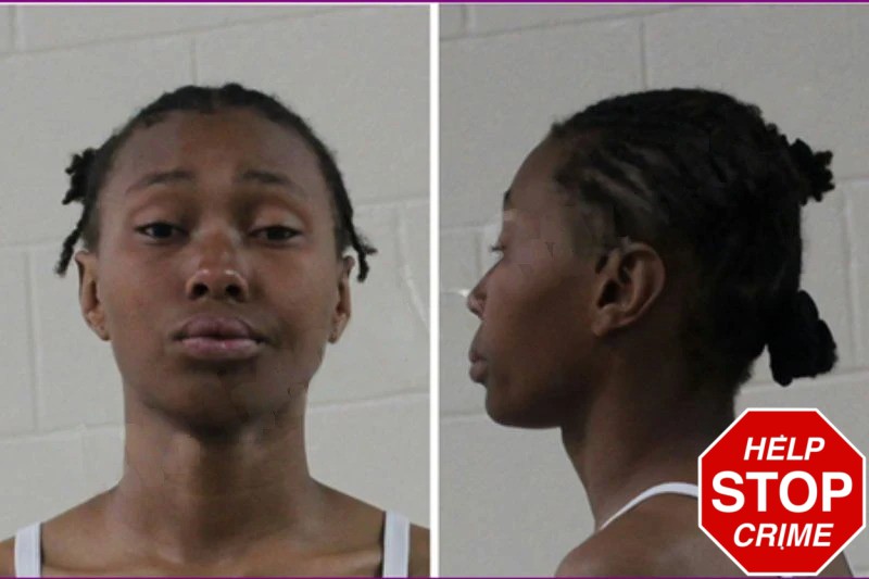 Kelise Lane Mugshots