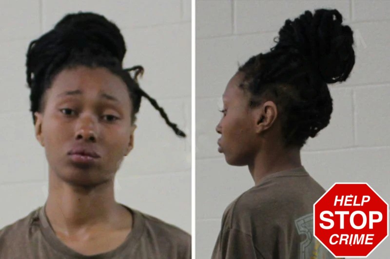 Kelise Lane Mugshots