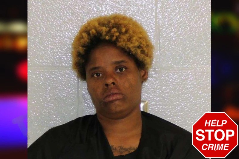 Kelle Johnson Mugshots