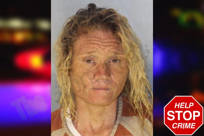 Kelley Sparrow Mugshots