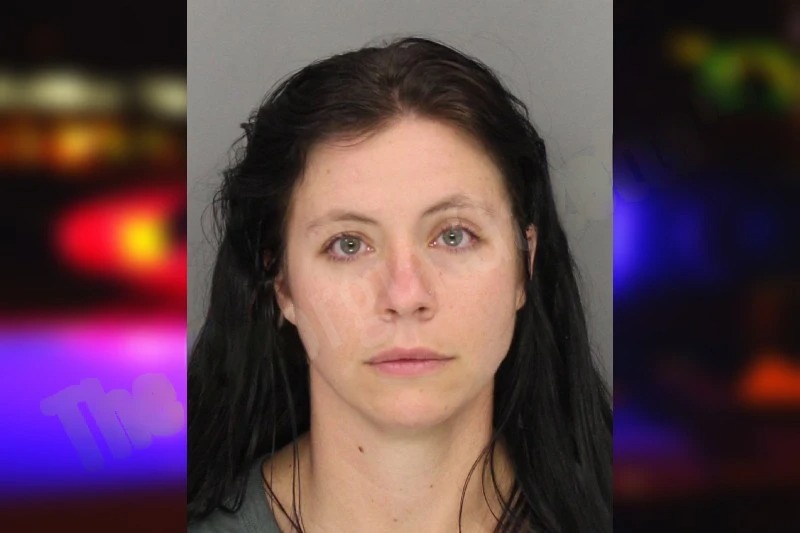 Kelli Burgdorf Mugshots