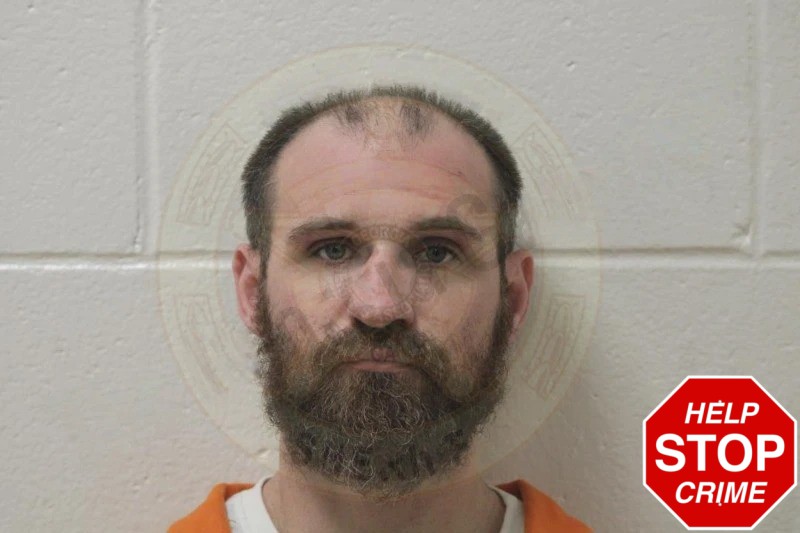 Kelly Cleary Mugshots