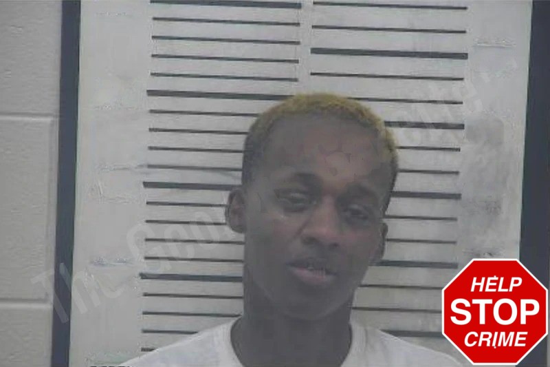 Kelly Littleton Mugshots