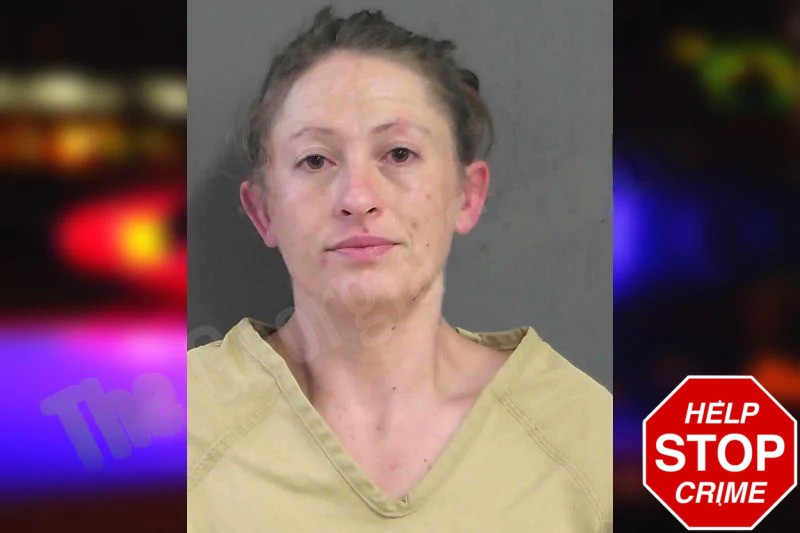 Kelly Lively Mugshots