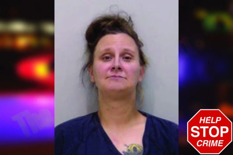 Kelsey Henderson mugshot – Bartow County , Georgia Kelsey Henderson