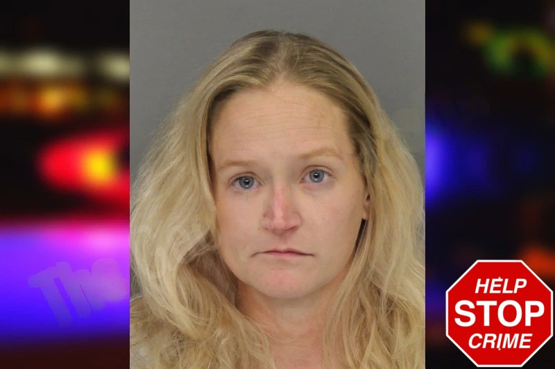 Kelsey Trondle mugshot