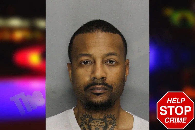 Kennedy Seron mugshot – Cobb County , Georgia Kennedy Seron mugshot