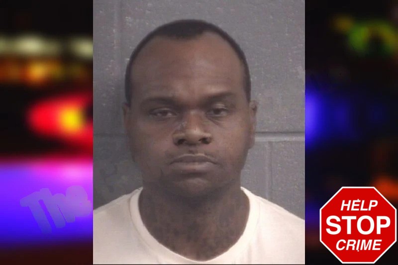 Kerry Wellmaker Mugshots