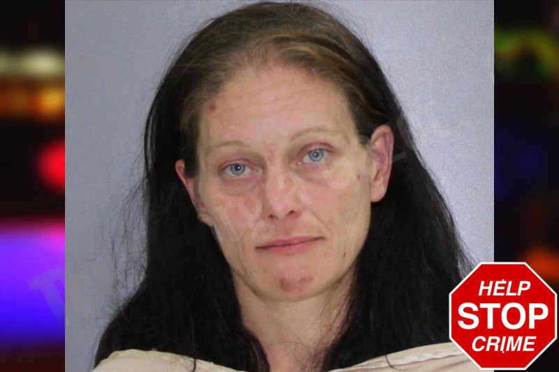Kimberly Andrews Mugshots