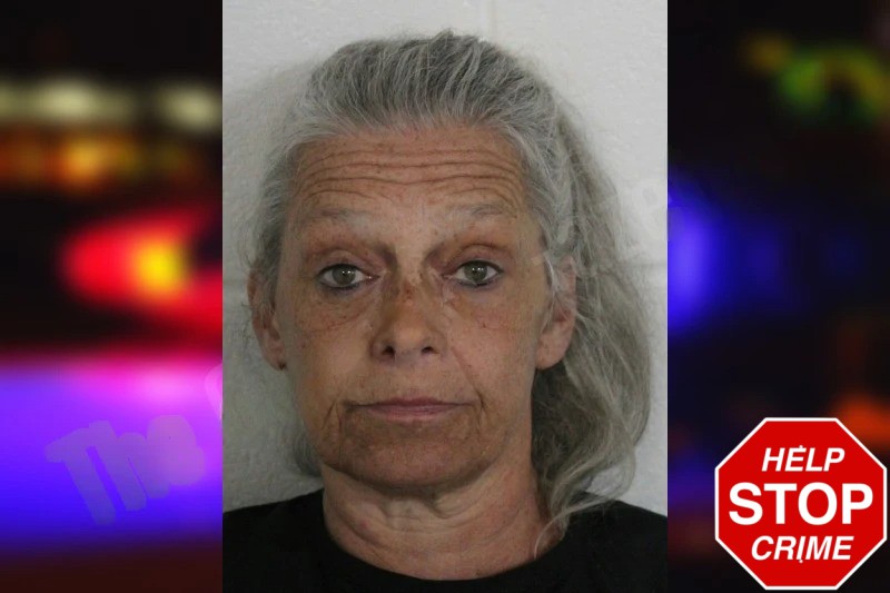 Kimberly Fergurson mugshot – Floyd County , Georgia Kimberly Fergurson mugshot