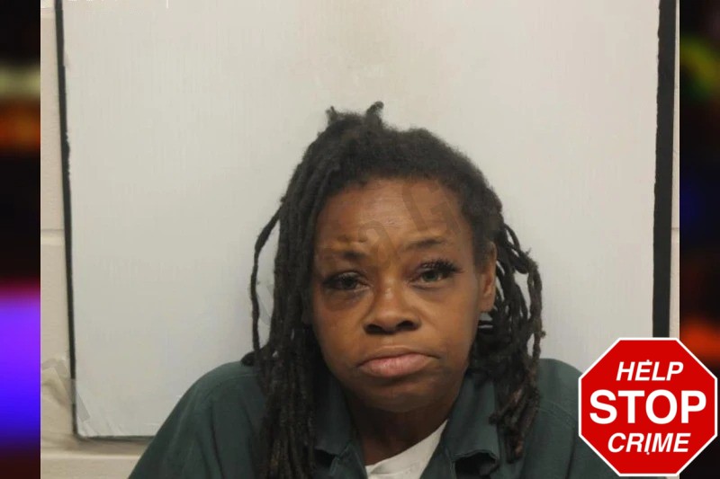 Kimberly Hagins Mugshots