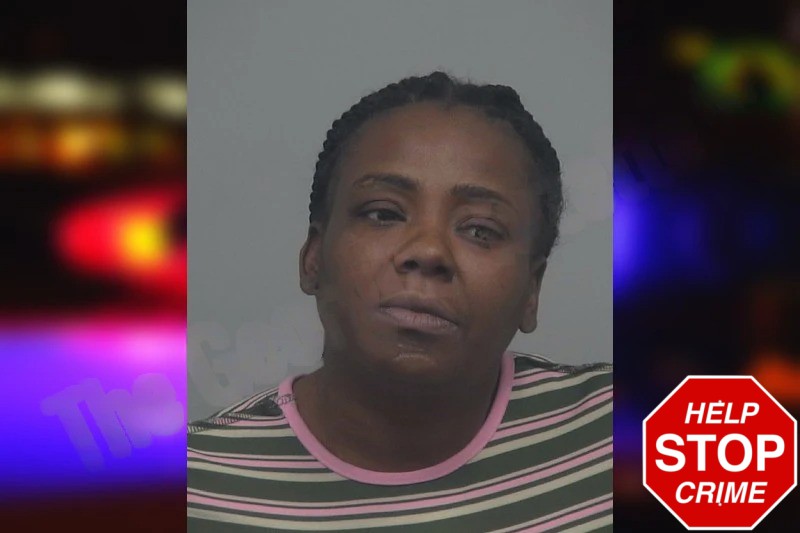 Kimberly Hunt mugshot