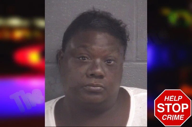Kimberly McDowell Mugshots