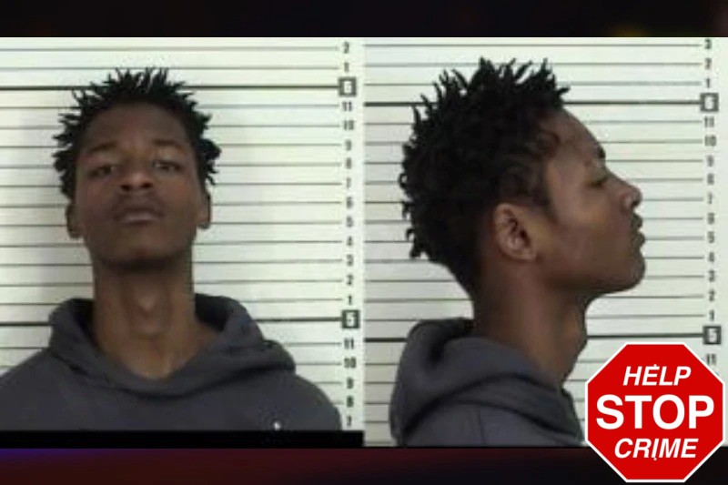 Kingston Dasher Mugshots