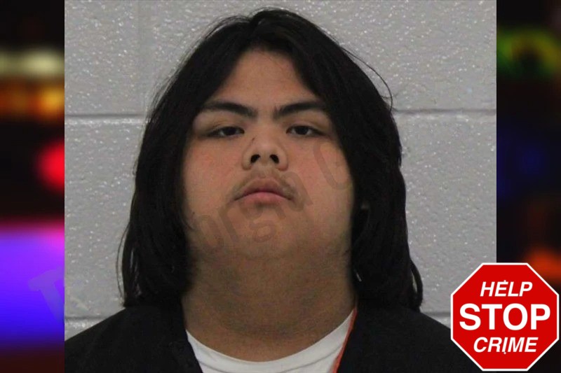 Kingston Phothisen mugshot – Carroll County , Georgia Kingston Phothisen mugshot