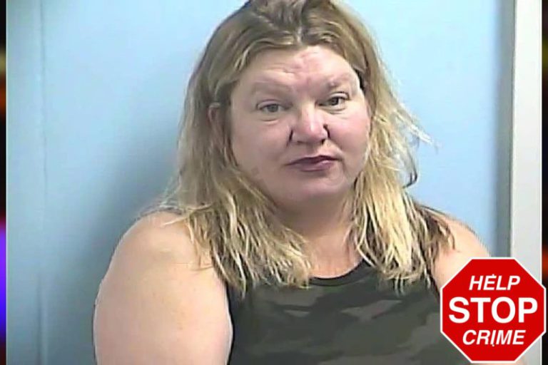 Kinsey Johnson mugshot – Dawson County , Georgia Kinsey Johnson