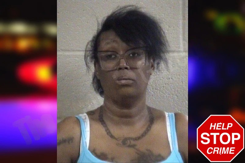 Kiviette Wells Mugshots