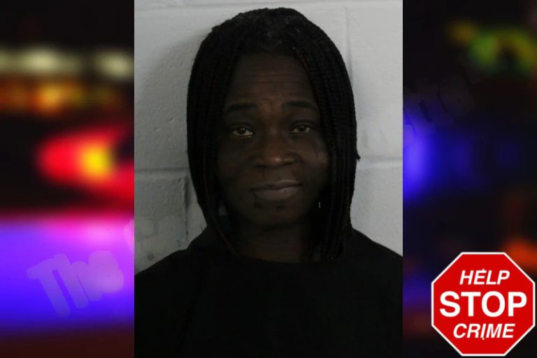 Kizie Donaldson mugshot – Floyd County , Georgia Kizie Donaldson