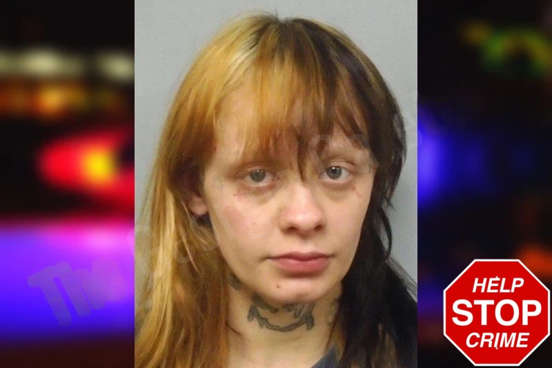 Kourtney Flake Mugshots