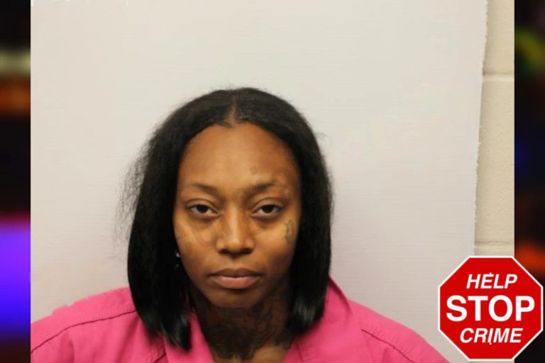 Krista Heyward mugshot – Chatham County , Georgia Krista Heyward
