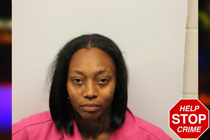 Krista Heyward Mugshots