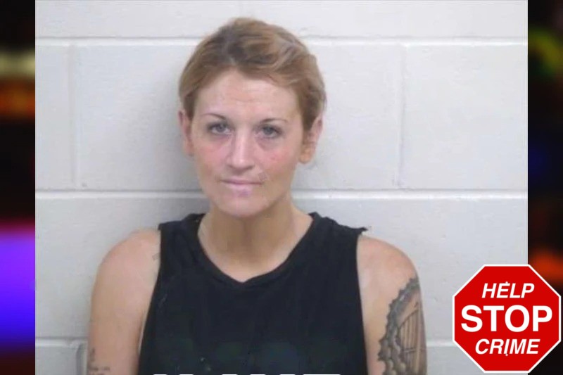 Kristalei Brown mugshot – Washington County , Georgia Kristalei Brown mugshot