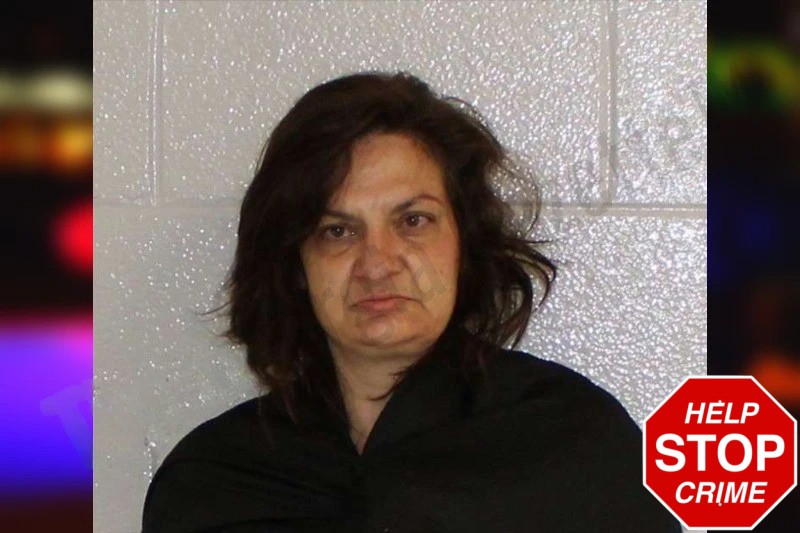 Kristi Hammock Mugshots