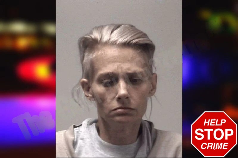 Kristie Wilson Mugshots