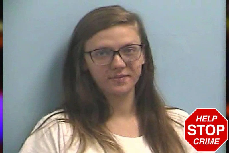 Kristin Link mugshot – Dawson County , Georgia Kristin Link mugshot
