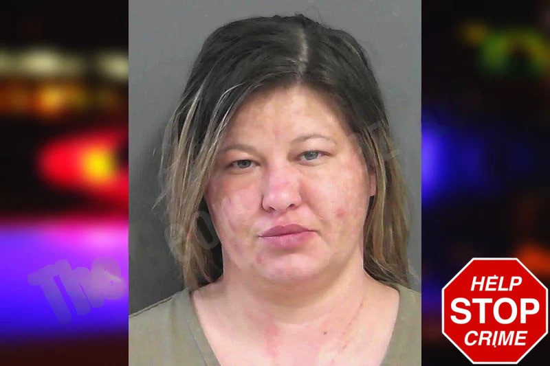 Kristin McMichen Mugshots