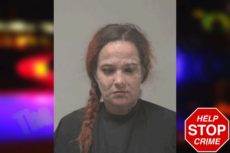Kristin Phillips Mugshots