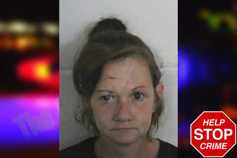 Kristin White Mugshots