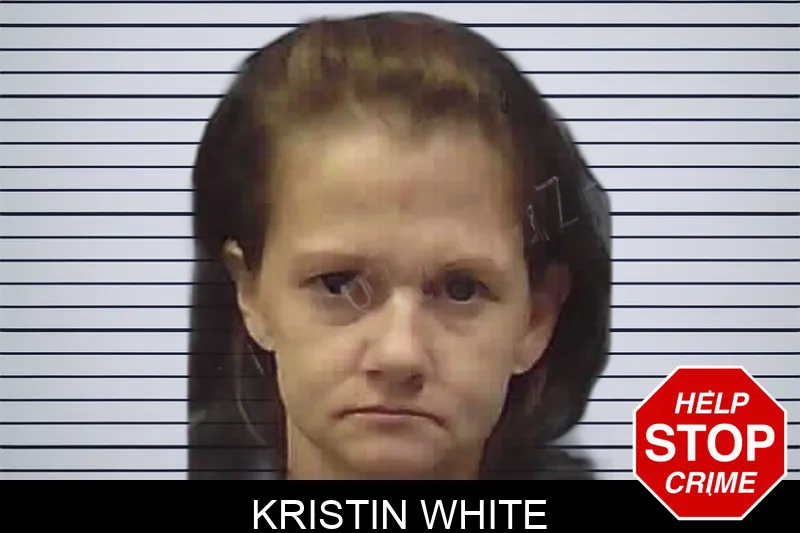 Kristin White Mugshots