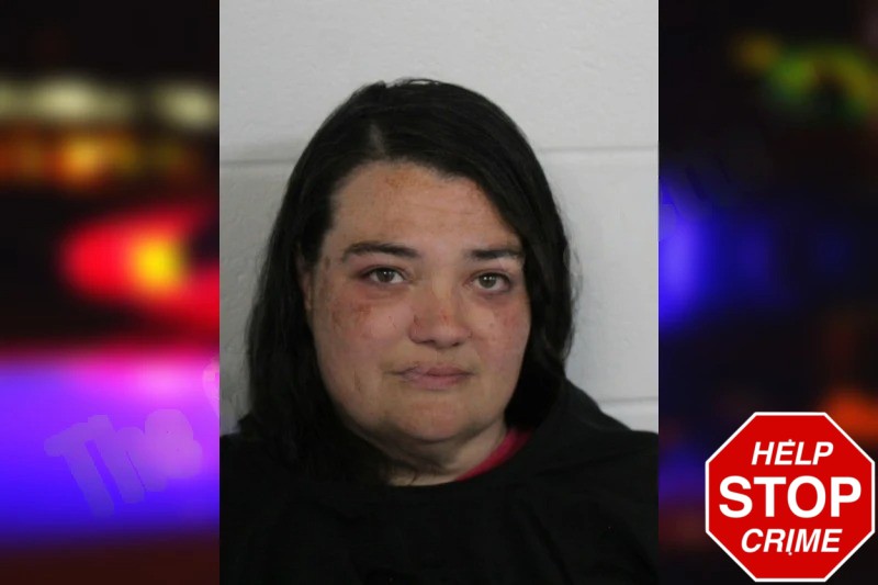 Kristin Womack Mugshots